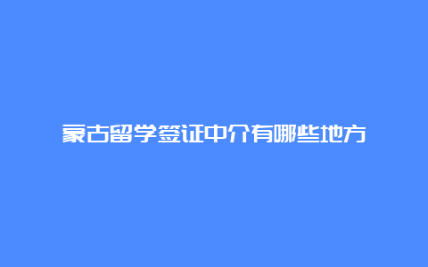 蒙古留学签证中介有哪些地方