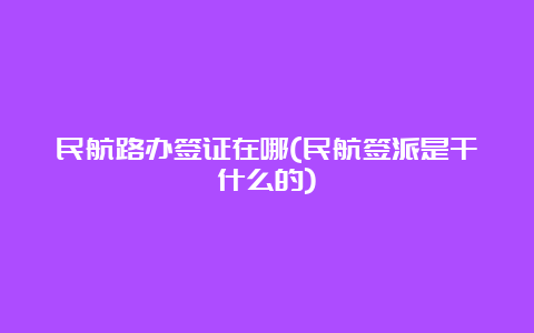 民航路办签证在哪(民航签派是干什么的)