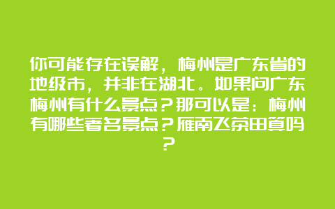 你可能存在误解，梅州是广东省的地级市，并非在湖北。如果问广东梅州有什么景点？那可以是：梅州有哪些著名景点？雁南飞茶田算吗？