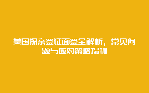 美国探亲签证面签全解析，常见问题与应对策略揭秘