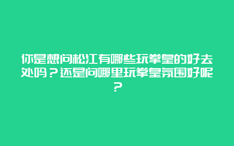 你是想问松江有哪些玩拳皇的好去处吗？还是问哪里玩拳皇氛围好呢？