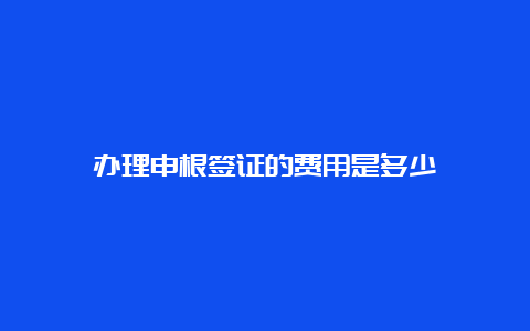 办理申根签证的费用是多少