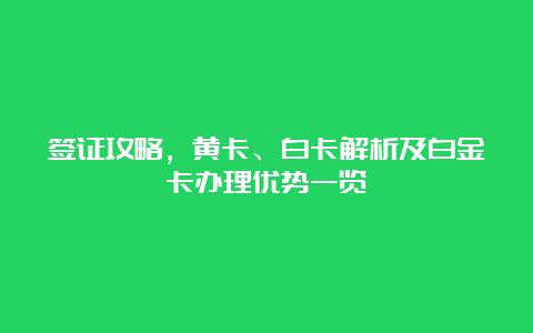 签证攻略，黄卡、白卡解析及白金卡办理优势一览