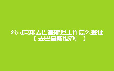 公司安排去巴基斯坦工作怎么签证 （去巴基斯坦办厂）