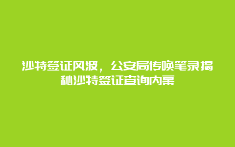 沙特签证风波，公安局传唤笔录揭秘沙特签证查询内幕