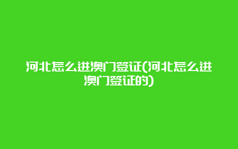 河北怎么进澳门签证(河北怎么进澳门签证的)