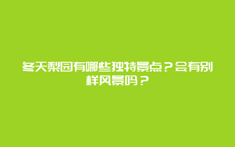 冬天梨园有哪些独特景点？会有别样风景吗？