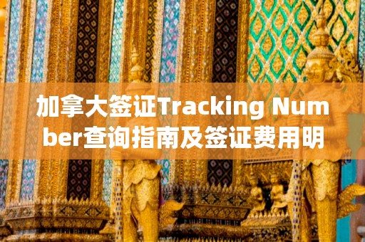 加拿大签证Tracking Number查询指南及签证费用明细揭秘