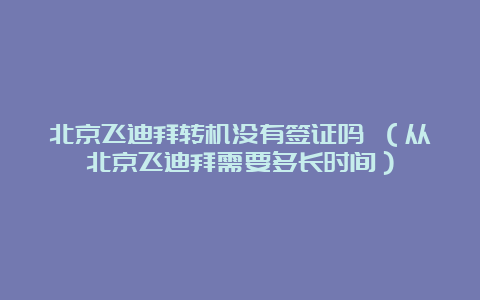 北京飞迪拜转机没有签证吗 （从北京飞迪拜需要多长时间）