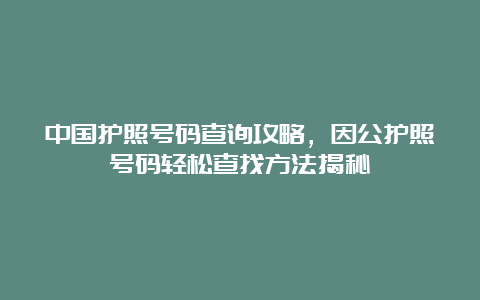 中国护照号码查询攻略，因公护照号码轻松查找方法揭秘