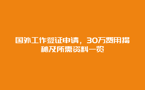 国外工作签证申请，30万费用揭秘及所需资料一览