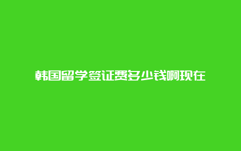 韩国留学签证费多少钱啊现在