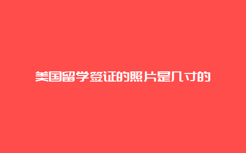 美国留学签证的照片是几寸的