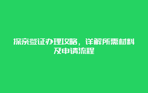 探亲签证办理攻略，详解所需材料及申请流程