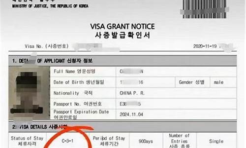 详解韩国C31签证最新政策，全面解读签证类型及申请流程