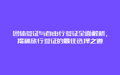 团体签证与自由行签证全面解析，揭秘旅行签证的最佳选择之道