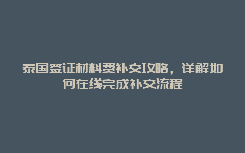 泰国签证材料费补交攻略，详解如何在线完成补交流程