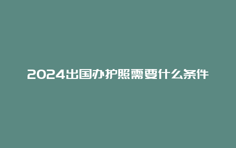 2024出国办护照需要什么条件