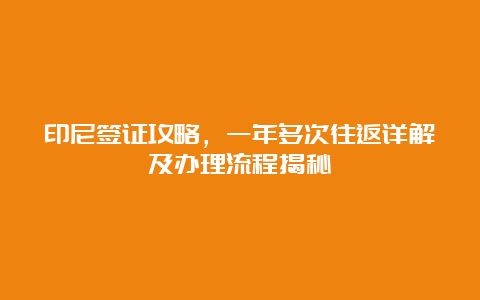 印尼签证攻略，一年多次往返详解及办理流程揭秘