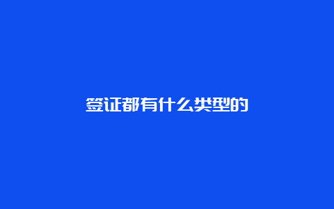 签证都有什么类型的