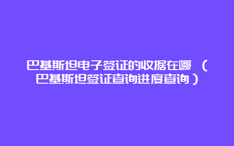 巴基斯坦电子签证的收据在哪 （巴基斯坦签证查询进度查询）