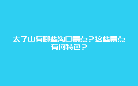 太子山有哪些沟口景点？这些景点有何特色？