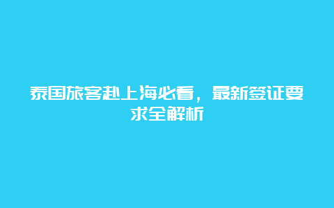 泰国旅客赴上海必看，最新签证要求全解析