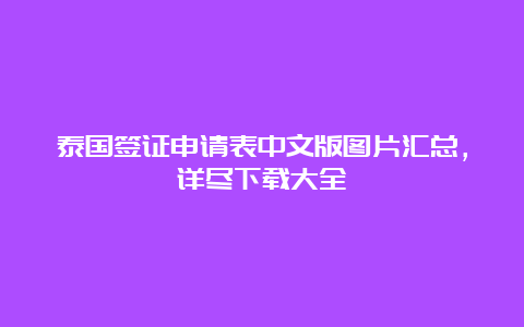 泰国签证申请表中文版图片汇总，详尽下载大全