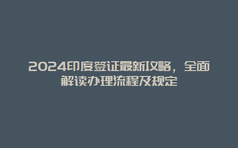 2024印度签证最新攻略，全面解读办理流程及规定