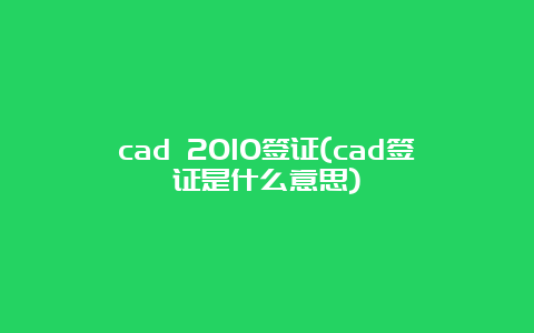 cad 2010签证(cad签证是什么意思)