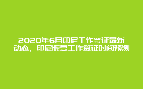 2020年6月印尼工作签证最新动态，印尼恢复工作签证时间预测