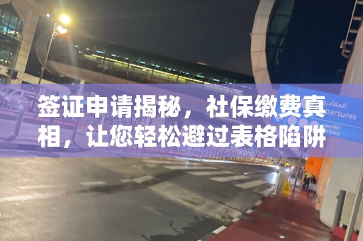 签证申请揭秘，社保缴费真相，让您轻松避过表格陷阱