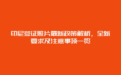 印尼签证照片最新政策解析，全新要求及注意事项一览