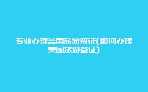 专业办理美国旅游签证(如何办理美国旅游签证)