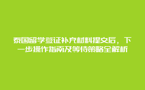 泰国留学签证补充材料提交后，下一步操作指南及等待策略全解析