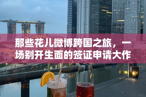 那些花儿微博跨国之旅，一场别开生面的签证申请大作战