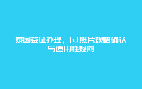 泰国签证办理，1寸照片规格确认与适用性疑问