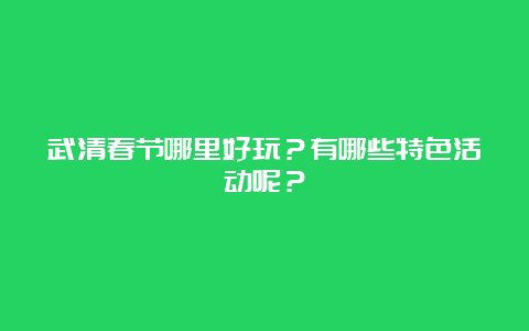 武清春节哪里好玩？有哪些特色活动呢？