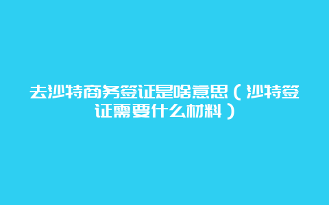 去沙特商务签证是啥意思（沙特签证需要什么材料）