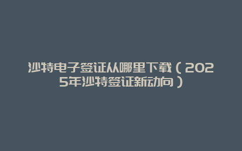 沙特电子签证从哪里下载（2025年沙特签证新动向）