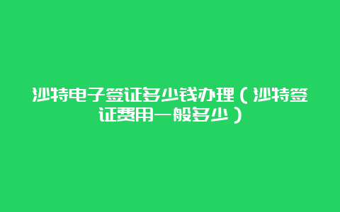 沙特电子签证多少钱办理（沙特签证费用一般多少）