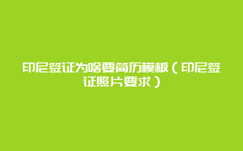 印尼签证为啥要简历模板（印尼签证照片要求）