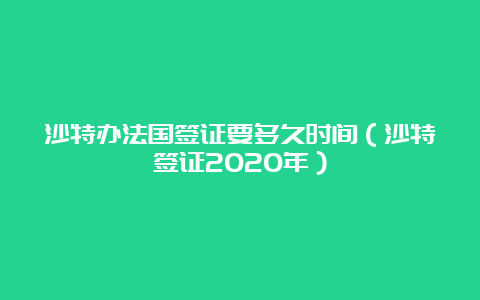 沙特办法国签证要多久时间（沙特签证2020年）