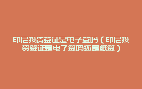 印尼投资签证是电子签吗（印尼投资签证是电子签吗还是纸签）