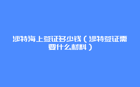 沙特海上签证多少钱（沙特签证需要什么材料）