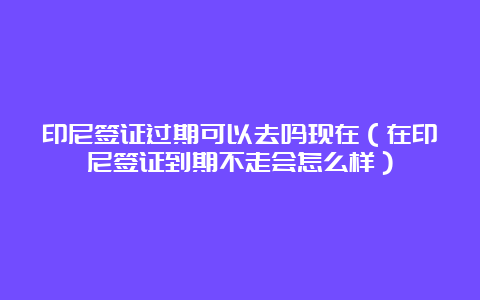 印尼签证过期可以去吗现在（在印尼签证到期不走会怎么样）