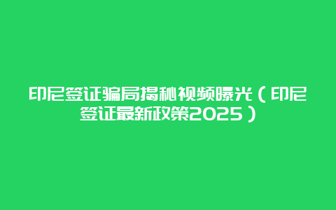 印尼签证骗局揭秘视频曝光（印尼签证最新政策2025）