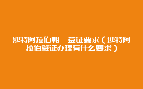 沙特阿拉伯朝觐签证要求（沙特阿拉伯签证办理有什么要求）