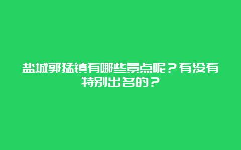 盐城郭猛镇有哪些景点呢？有没有特别出名的？