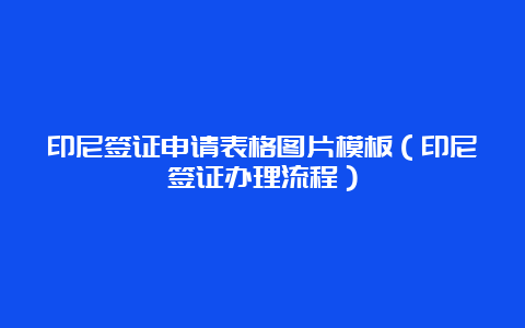 印尼签证申请表格图片模板（印尼签证办理流程）